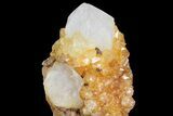 Sunshine Cactus Quartz Crystal Cluster - South Africa #80195-2